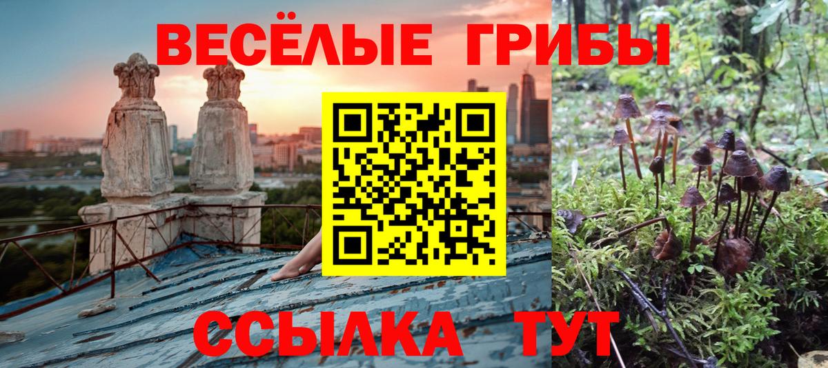 Галлюциногенные грибы Cubensis  Псилоцибиновые грибы Psilocybe  Вход с VPN  Нурлат 